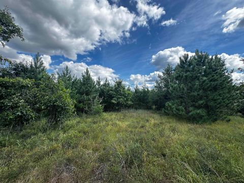 Photo of 40 AC Buttercup Ave E Acres, Arkdale, WI 54613 (MLS # 2009955)