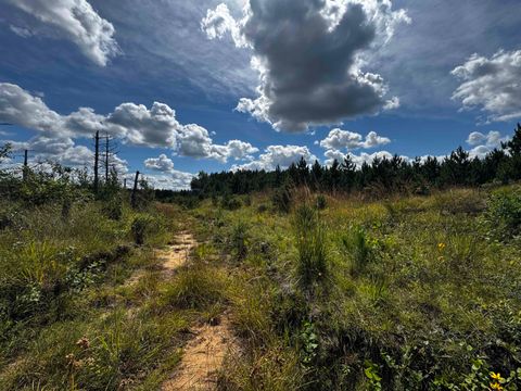 Tiny photo for 40 AC Buttercup Ave E Acres, Arkdale, WI 54613 (MLS # 2009955)