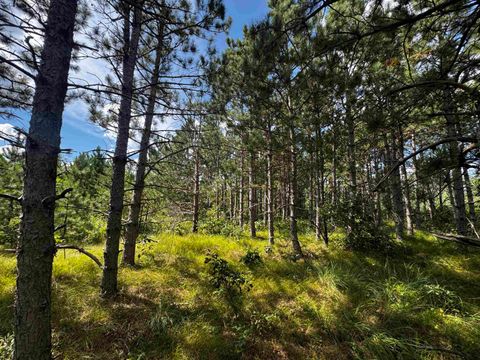 Tiny photo for 40 AC Buttercup Ave E Acres, Arkdale, WI 54613 (MLS # 2009955)