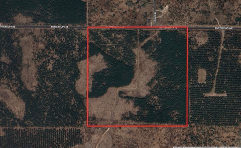 Tiny photo for 40 AC Buttercup Ave E Acres, Arkdale, WI 54613 (MLS # 2009955)