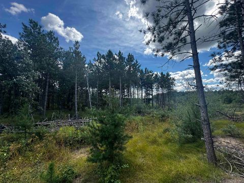 Tiny photo for 40 AC Buttercup Ave E Acres, Arkdale, WI 54613 (MLS # 2009955)