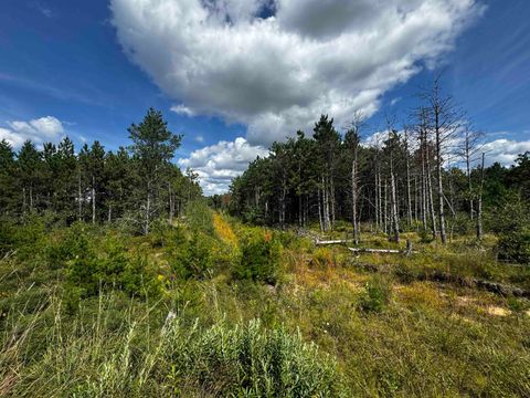 Tiny photo for 40 AC Buttercup Ave E Acres, Arkdale, WI 54613 (MLS # 2009955)