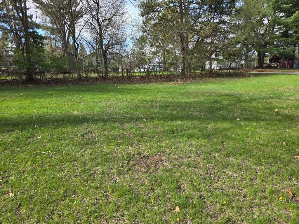 Photo for L15 & L16 N Elm Street, Adams, WI 53910 (MLS # 1999043)