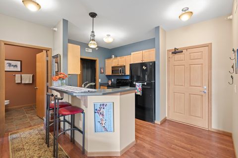 Photo of 121 Metro Terrace 306 #306, Madison, WI 53718 (MLS # 2001861)