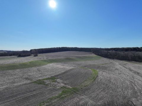 Tiny photo for 229.98Â± Acres Whitcomb Lane, Lancaster, WI 53813 (MLS # 2020126)