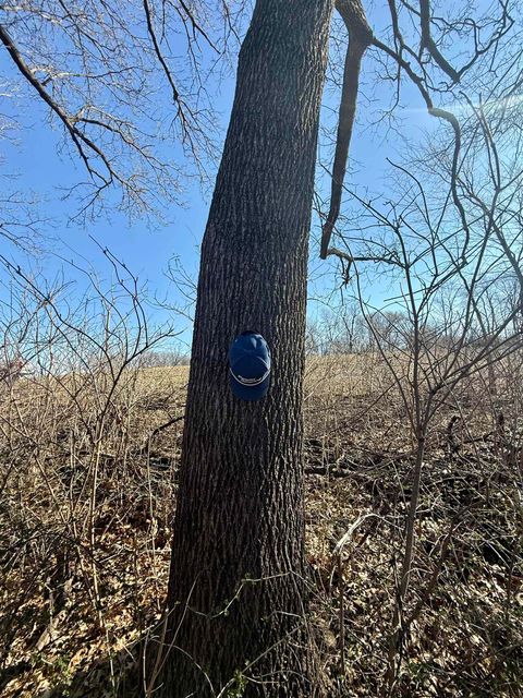 Tiny photo for 229.98Â± Acres Whitcomb Lane, Lancaster, WI 53813 (MLS # 2020126)