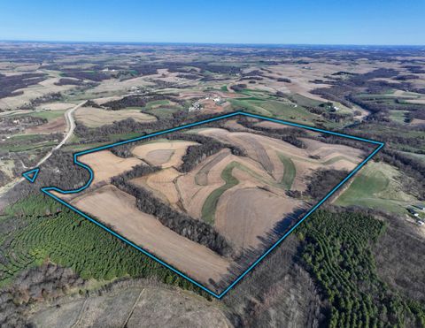 229.98± Acres Whitcomb Lane Lancaster WI 53813