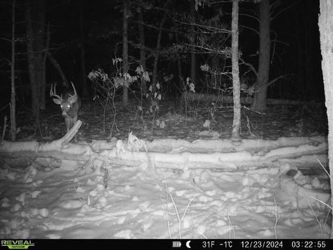 Tiny photo for Lot 1 Highway 13, Adams, WI 53934 (MLS # 2003631)