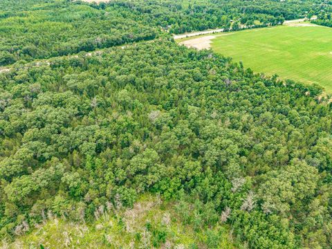 Tiny photo for Lot 1 Highway 13, Adams, WI 53934 (MLS # 2003631)