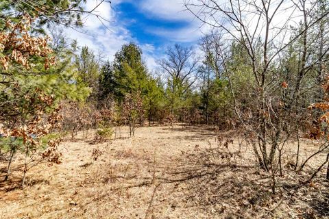 Tiny photo for Lot 1 Highway 13, Adams, WI 53934 (MLS # 2003631)
