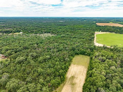 Tiny photo for Lot 1 Highway 13, Adams, WI 53934 (MLS # 2003631)