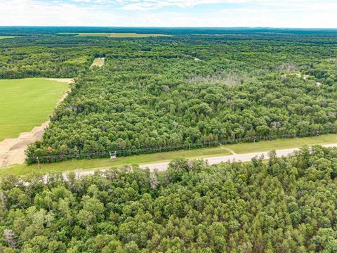 Tiny photo for Lot 1 Highway 13, Adams, WI 53934 (MLS # 2003631)