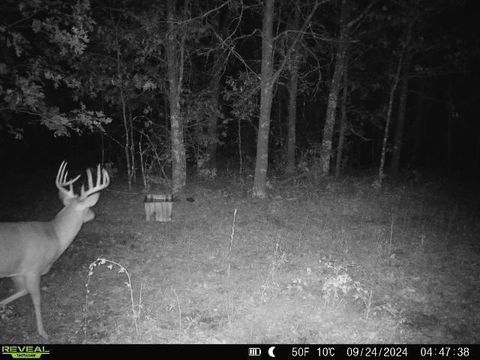 Tiny photo for Lot 1 Highway 13, Adams, WI 53934 (MLS # 2003631)