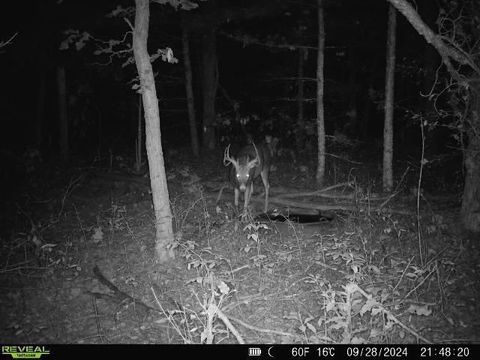 Tiny photo for Lot 1 Highway 13, Adams, WI 53934 (MLS # 2003631)