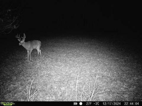 Tiny photo for Lot 1 Highway 13, Adams, WI 53934 (MLS # 2003631)