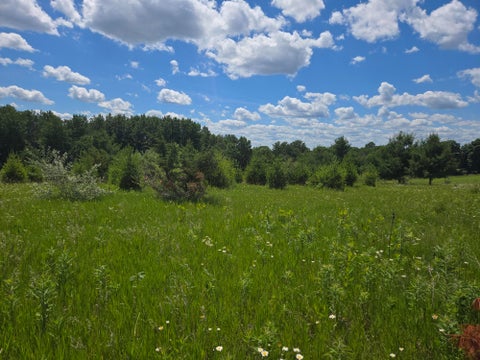 Photo of L1076 Hunt Club Bugle Court, La Valle, WI 53941 (MLS # 2026530)