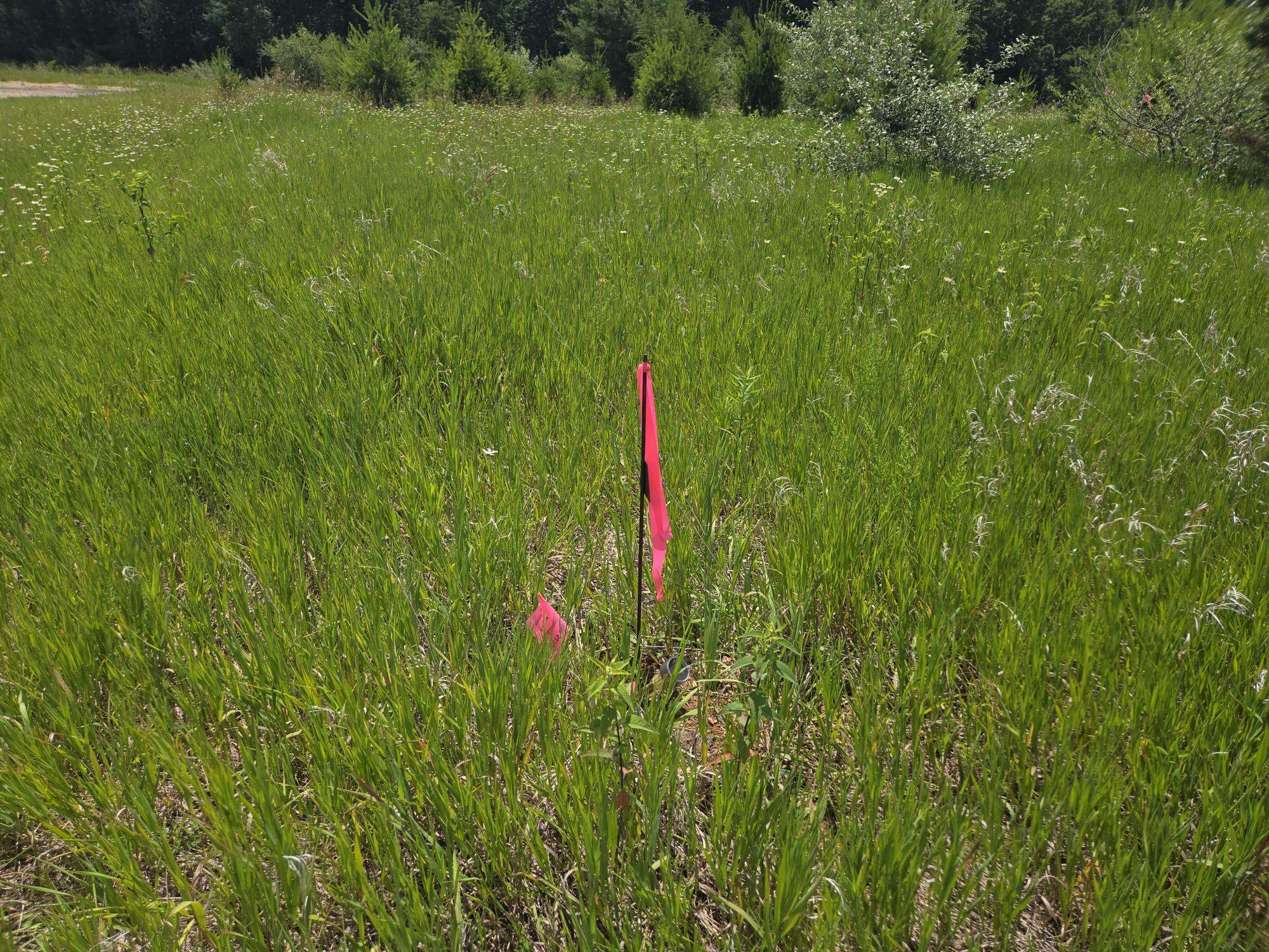 L1076 Hunt Club Bugle Court
