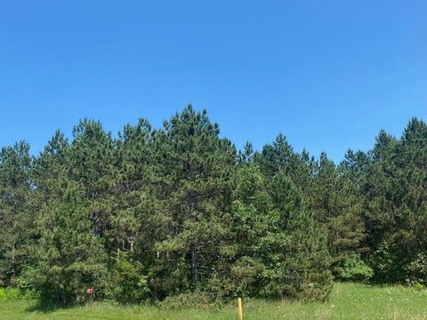 Tiny photo for 494 County Road Z, Nekoosa, WI 54457 (MLS # 2002531)