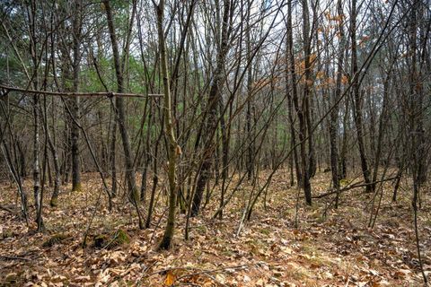 Tiny photo for Lot 254 Dakota Junction, Friendship, WI 53934 (MLS # 1954366)