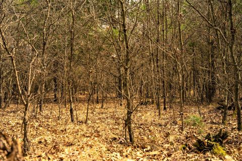 Tiny photo for Lot 254 Dakota Junction, Friendship, WI 53934 (MLS # 1954366)