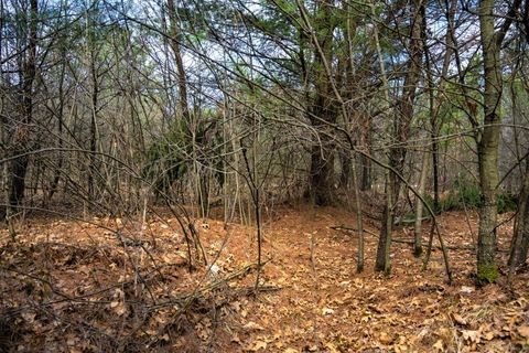 Tiny photo for Lot 254 Dakota Junction, Friendship, WI 53934 (MLS # 1954366)