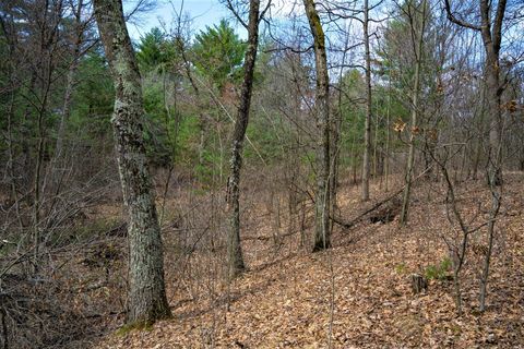 Tiny photo for Lot 254 Dakota Junction, Friendship, WI 53934 (MLS # 1954366)