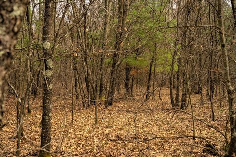 Tiny photo for Lot 254 Dakota Junction, Friendship, WI 53934 (MLS # 1954366)