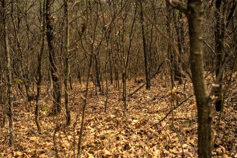 Tiny photo for Lot 254 Dakota Junction, Friendship, WI 53934 (MLS # 1954366)