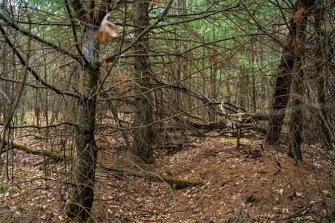 Tiny photo for Lot 254 Dakota Junction, Friendship, WI 53934 (MLS # 1954366)