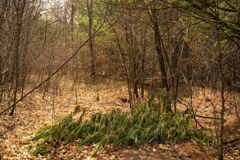 Tiny photo for Lot 254 Dakota Junction, Friendship, WI 53934 (MLS # 1954366)