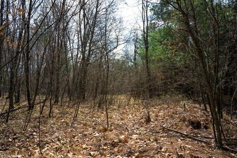 Tiny photo for Lot 254 Dakota Junction, Friendship, WI 53934 (MLS # 1954366)