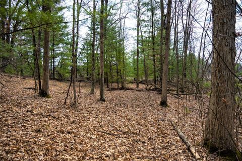 Tiny photo for Lot 254 Dakota Junction, Friendship, WI 53934 (MLS # 1954366)