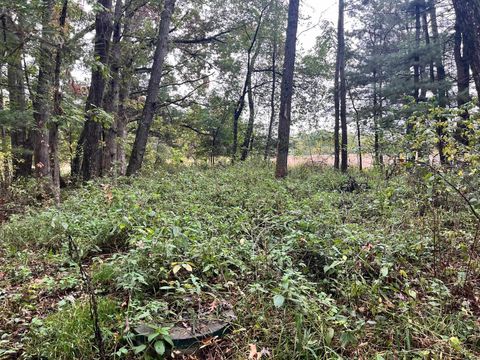 Tiny photo for 1678 Cree Lane, Arkdale, WI 54613 (MLS # 2010161)