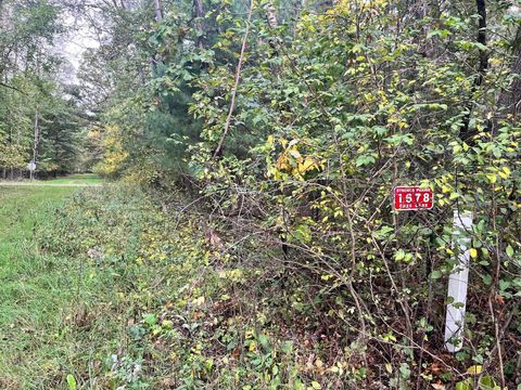 Photo of 1678 Cree Lane, Arkdale, WI 54613 (MLS # 2010161) Photo of 1678 Cree Lane, Arkdale, WI 54613 (MLS # 2010161)