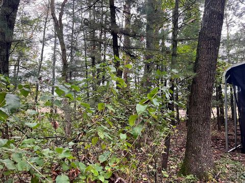 Tiny photo for 1678 Cree Lane, Arkdale, WI 54613 (MLS # 2010161)