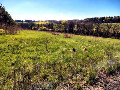 Photo of Lot 13 Holly Lane, Belleville, WI 53508 (MLS # 2022380)