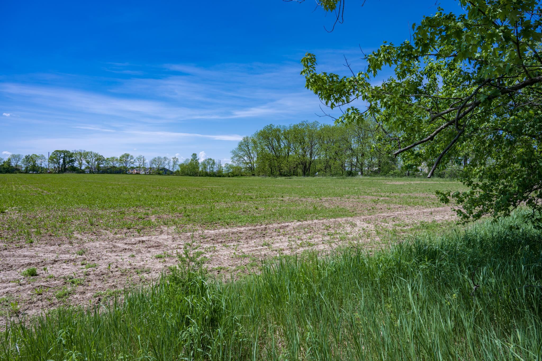 31.94 Acres Taylor Road