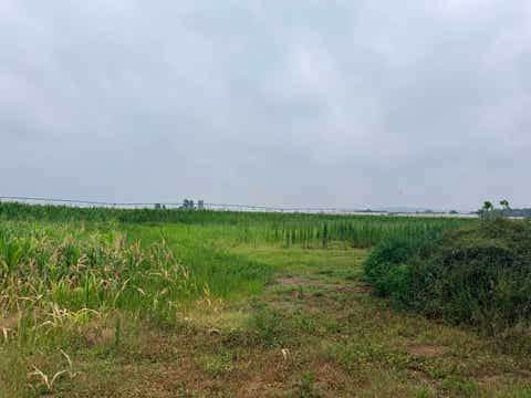 Photo of 16.03 Acres Dennis Court, Prairie Du Sac, WI 53578 (MLS # 2027007)