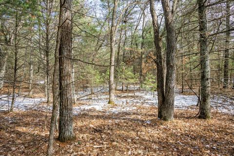 Photo of Lot 39 S Badger Lane, Arkdale, WI 54613 (MLS # 2018293)