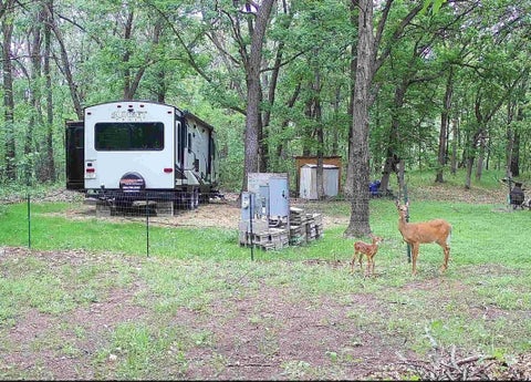 Photo of 344 Ember Avenue, Oxford, WI 53952 (MLS # 2034449)
