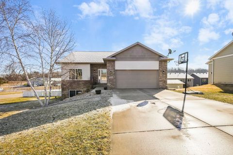 Photo of 1215 Springbrook Drive, Baraboo, WI 53913 (MLS # 2017962)