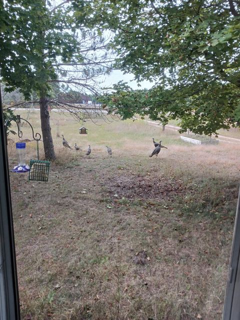 Tiny photo for 1128 County Road C, Arkdale, WI 54613 (MLS # 2010527)