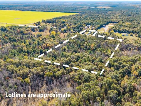Tiny photo for 1128 County Road C, Arkdale, WI 54613 (MLS # 2010527)