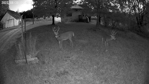 Tiny photo for 1128 County Road C, Arkdale, WI 54613 (MLS # 2010527)