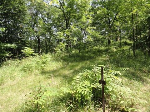 Tiny photo for Parcel 66 Glacier Lake Drive, Oxford, WI 53952 (MLS # 1983622)