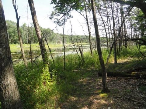Tiny photo for Parcel 66 Glacier Lake Drive, Oxford, WI 53952 (MLS # 1983622)