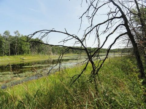 Tiny photo for Parcel 66 Glacier Lake Drive, Oxford, WI 53952 (MLS # 1983622)