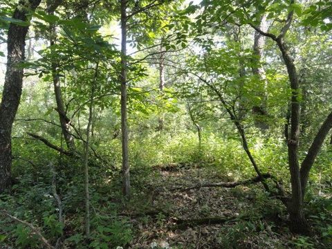 Tiny photo for Parcel 66 Glacier Lake Drive, Oxford, WI 53952 (MLS # 1983622)