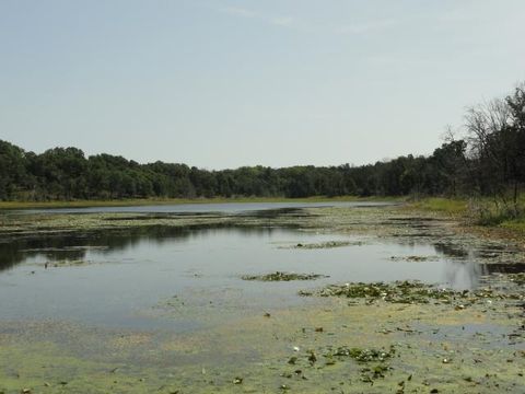 Tiny photo for Parcel 66 Glacier Lake Drive, Oxford, WI 53952 (MLS # 1983622)