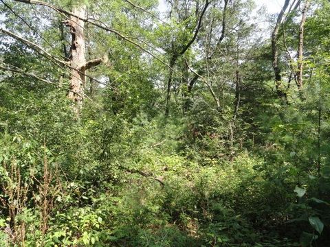 Tiny photo for Parcel 66 Glacier Lake Drive, Oxford, WI 53952 (MLS # 1983622)